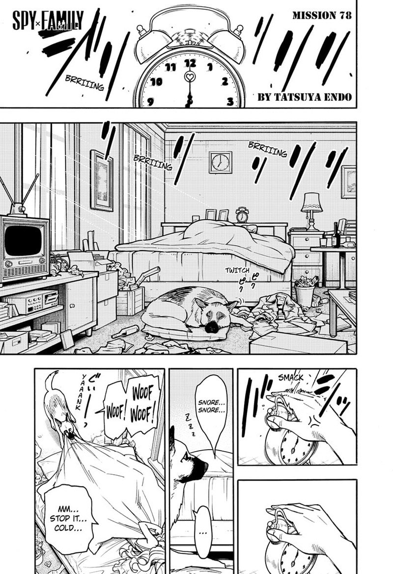 Read Spy X Family Manga Online