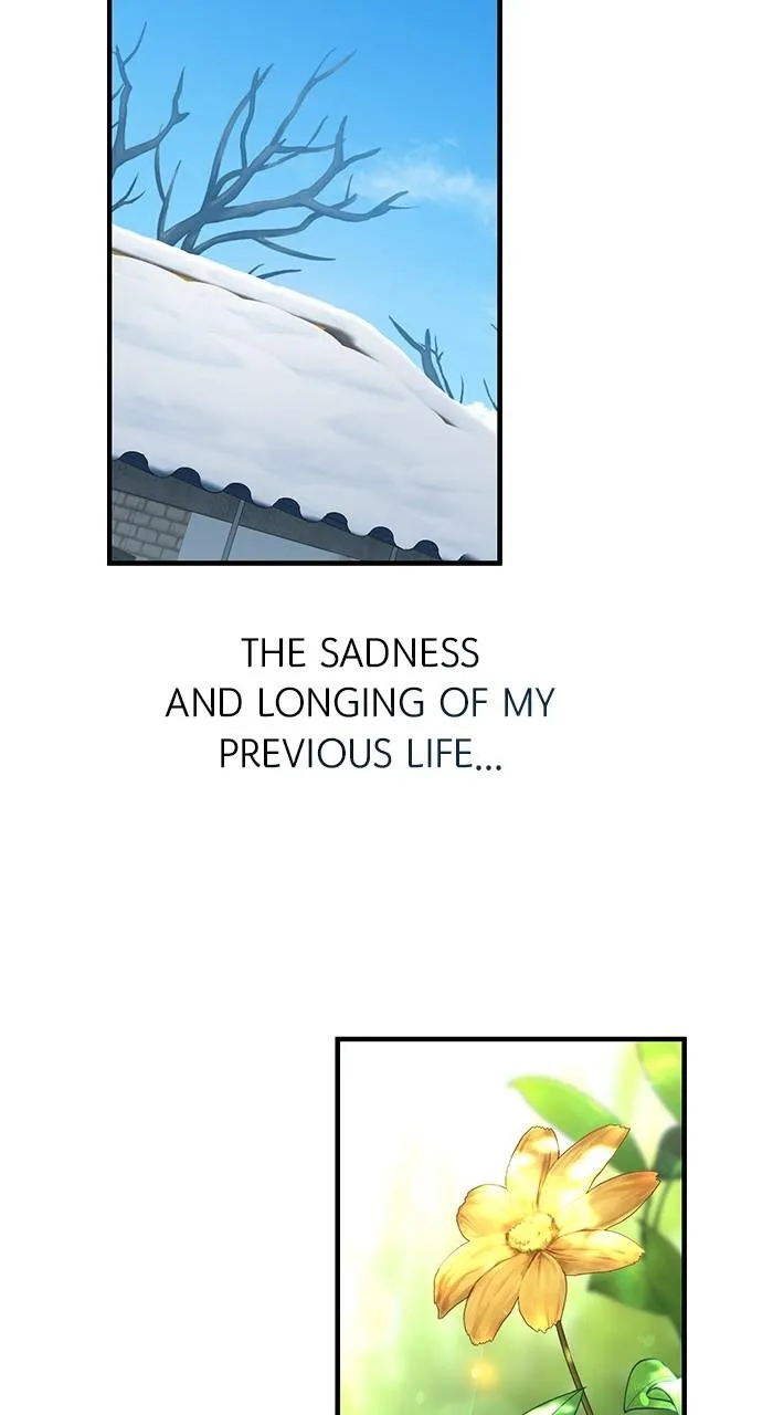 Read The Genius Wants an Ordinary Life Manga Online