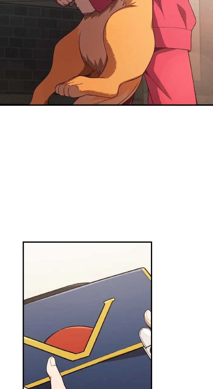 Read The Genius Wants an Ordinary Life Manga Online