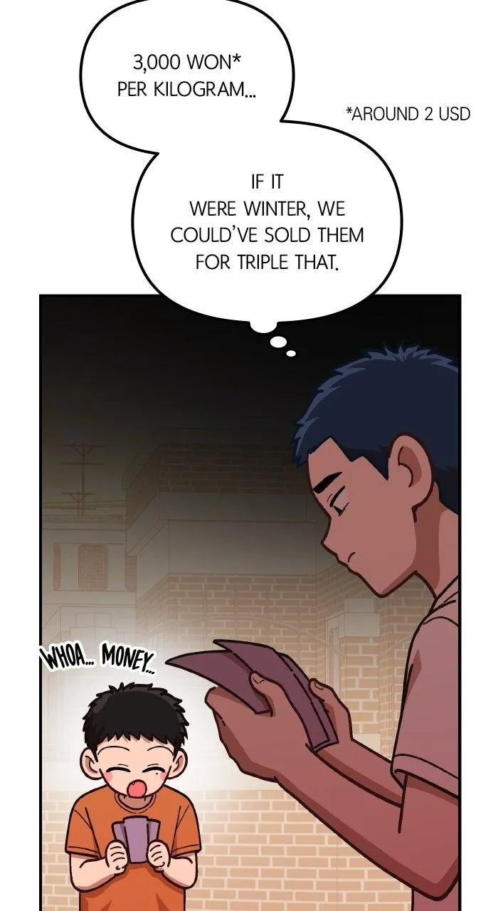 Read The Genius Wants an Ordinary Life Manga Online