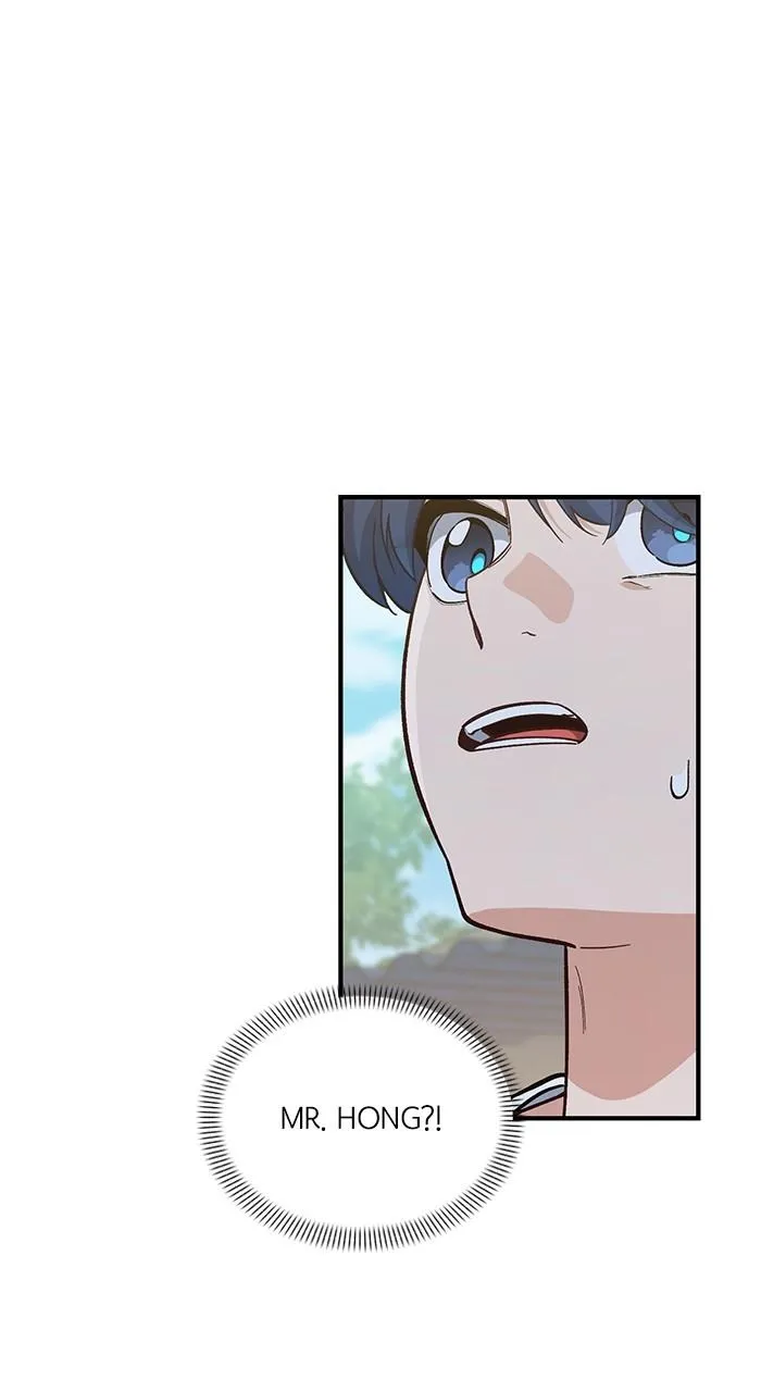 Read The Genius Wants an Ordinary Life Manga Online