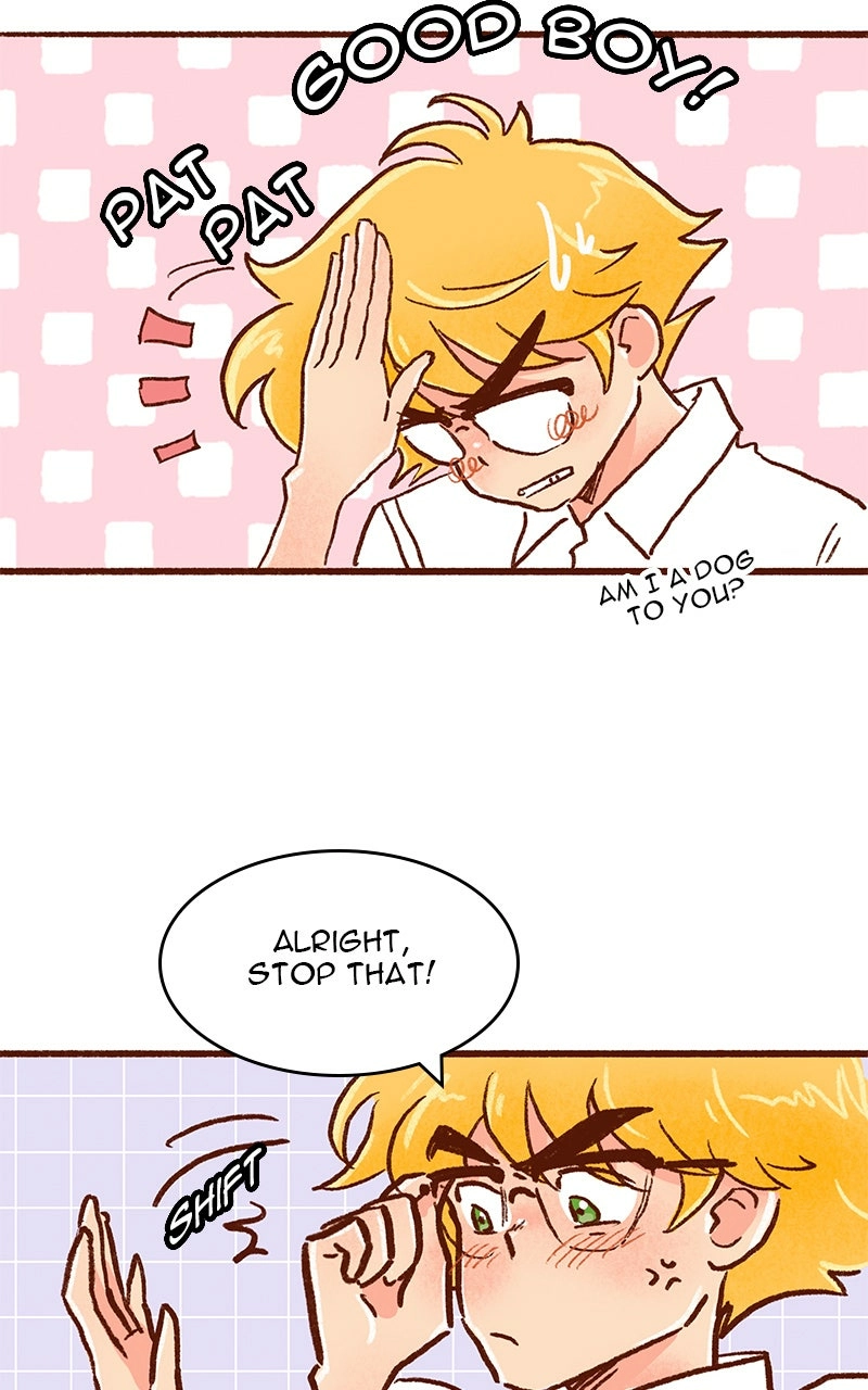 Read The Kiss Bet Manga Online