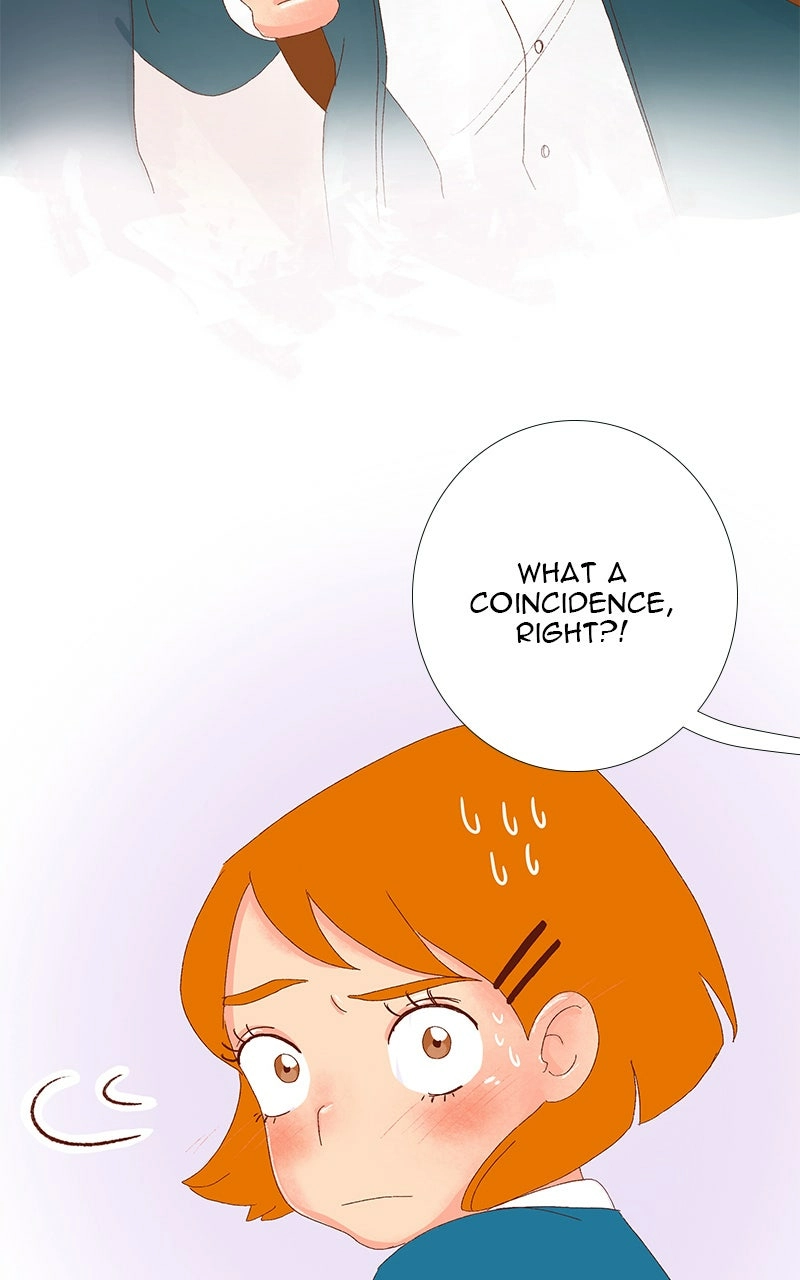 Read The Kiss Bet Manga Online