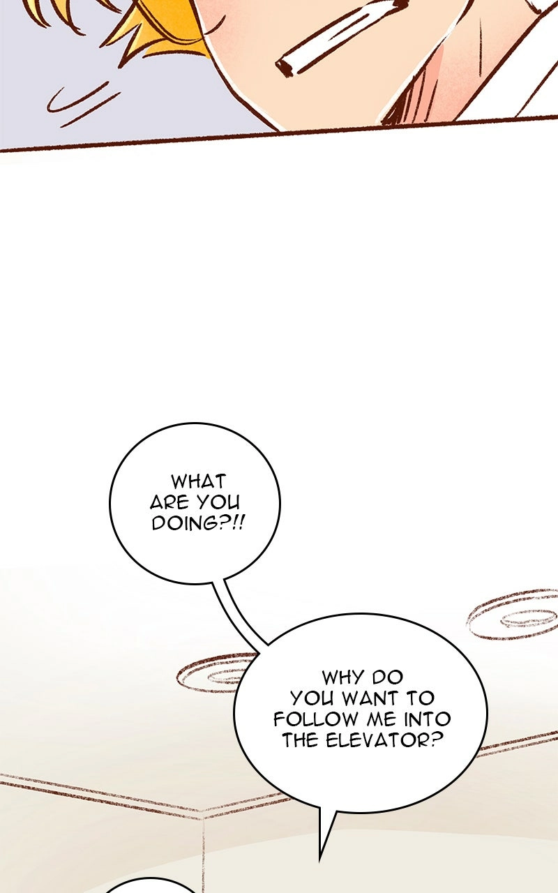 Read The Kiss Bet Manga Online