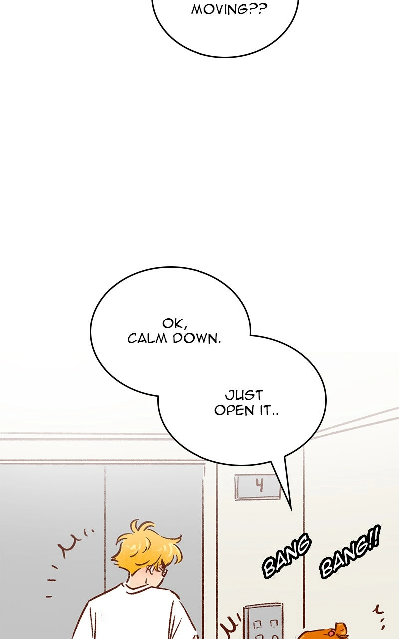 Read The Kiss Bet Manga Online