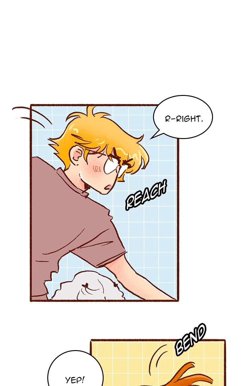 Read The Kiss Bet Manga Online