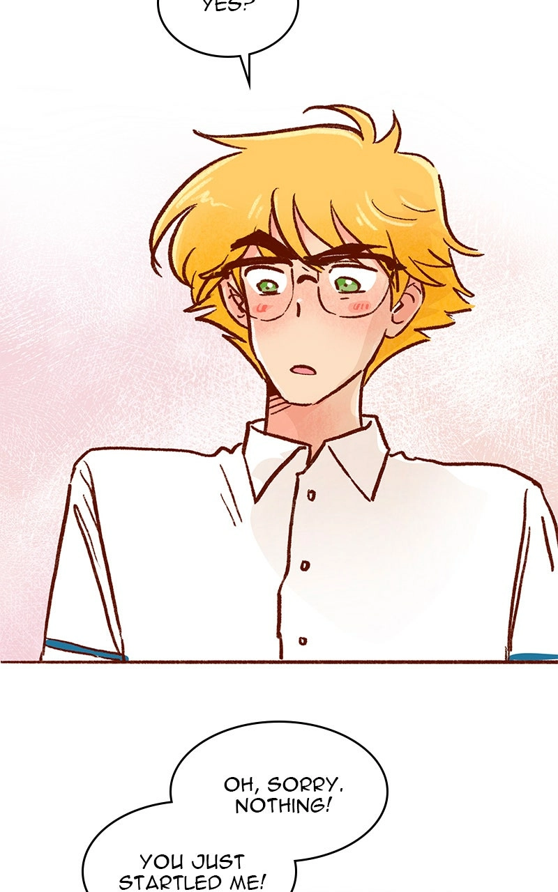 Read The Kiss Bet Manga Online