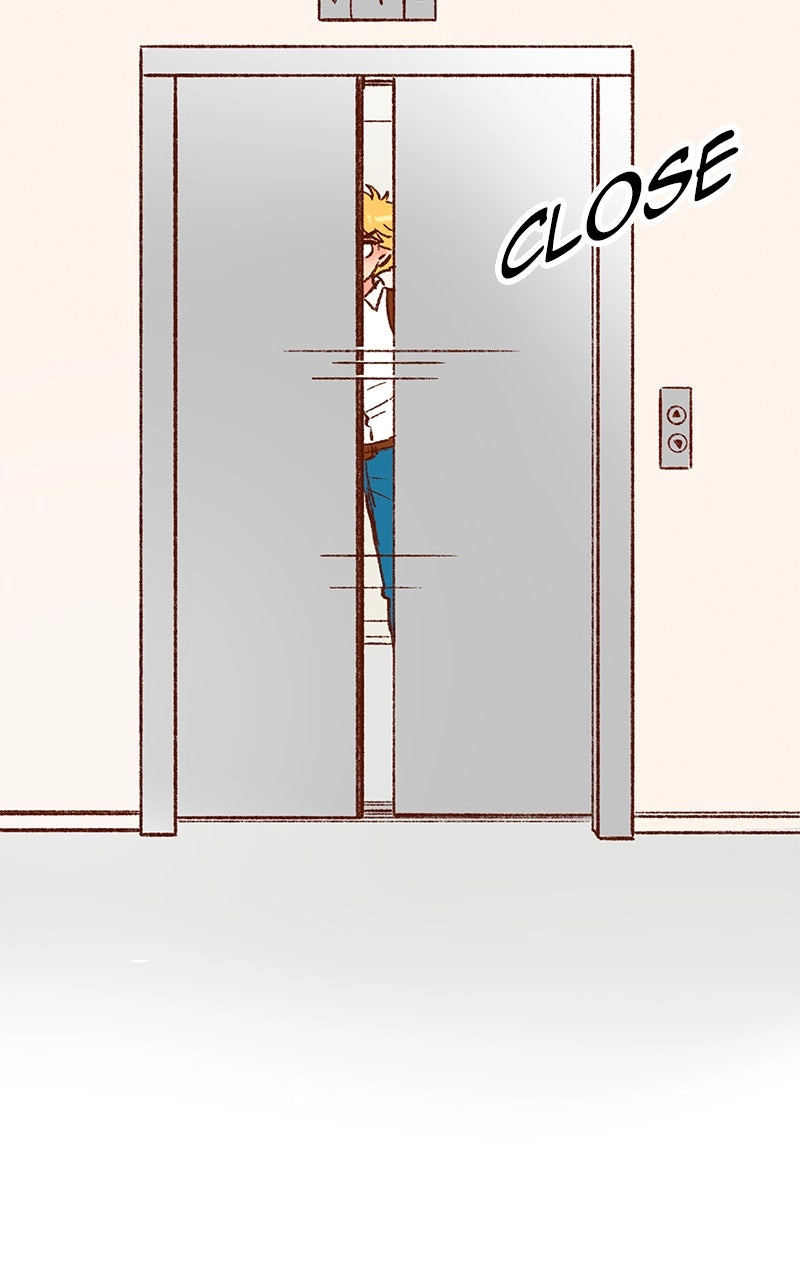 Read The Kiss Bet Manga Online