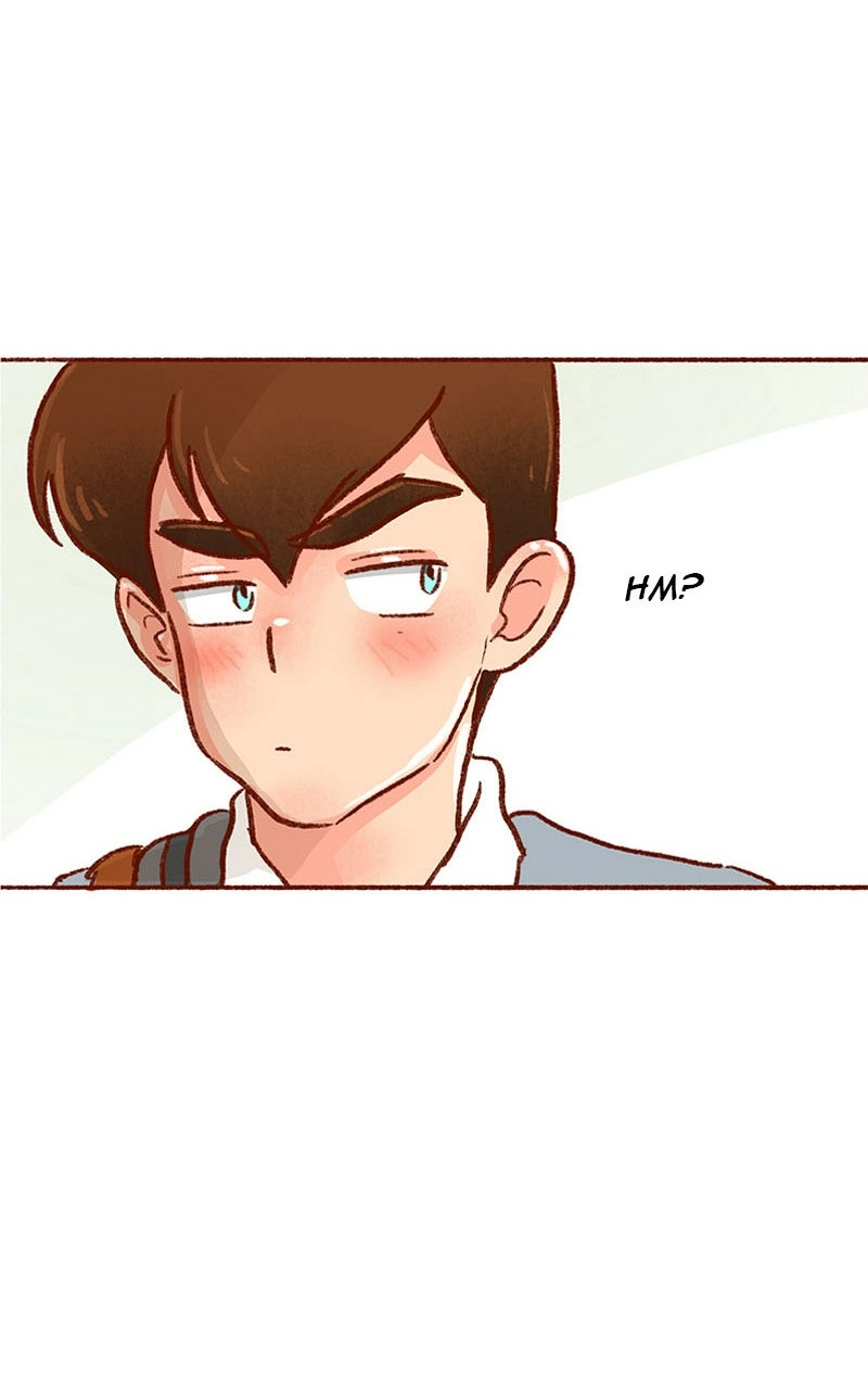 Read The Kiss Bet Manga Online