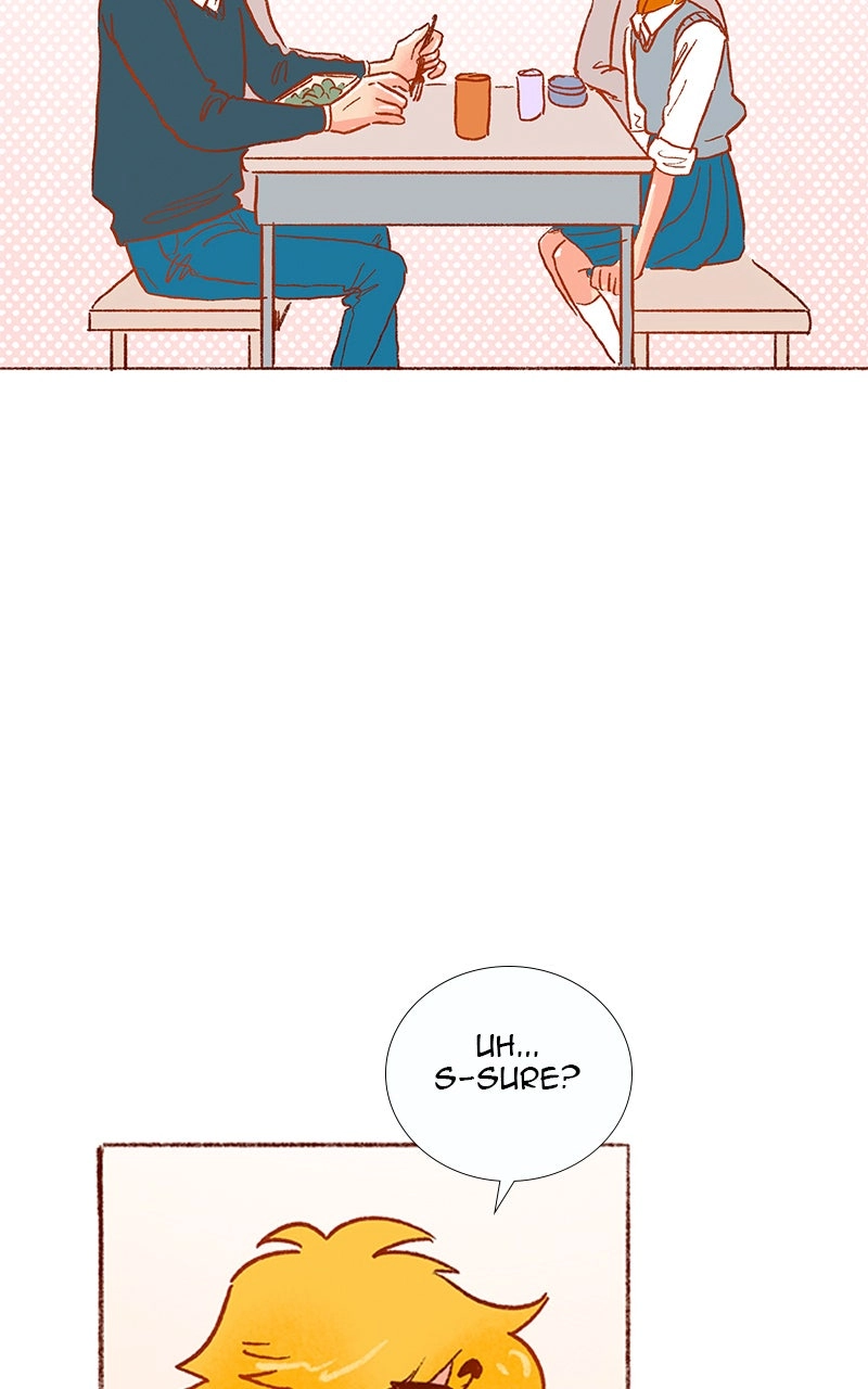 Read The Kiss Bet Manga Online