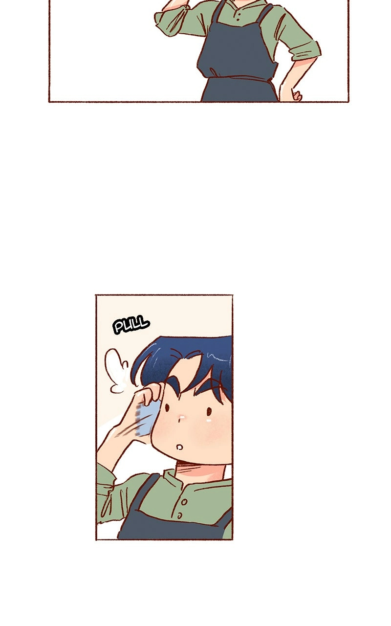 Read The Kiss Bet Manga Online