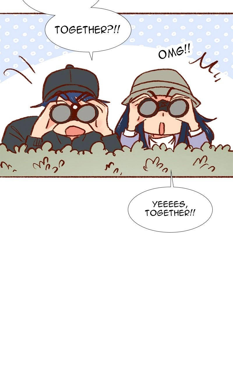 Read The Kiss Bet Manga Online