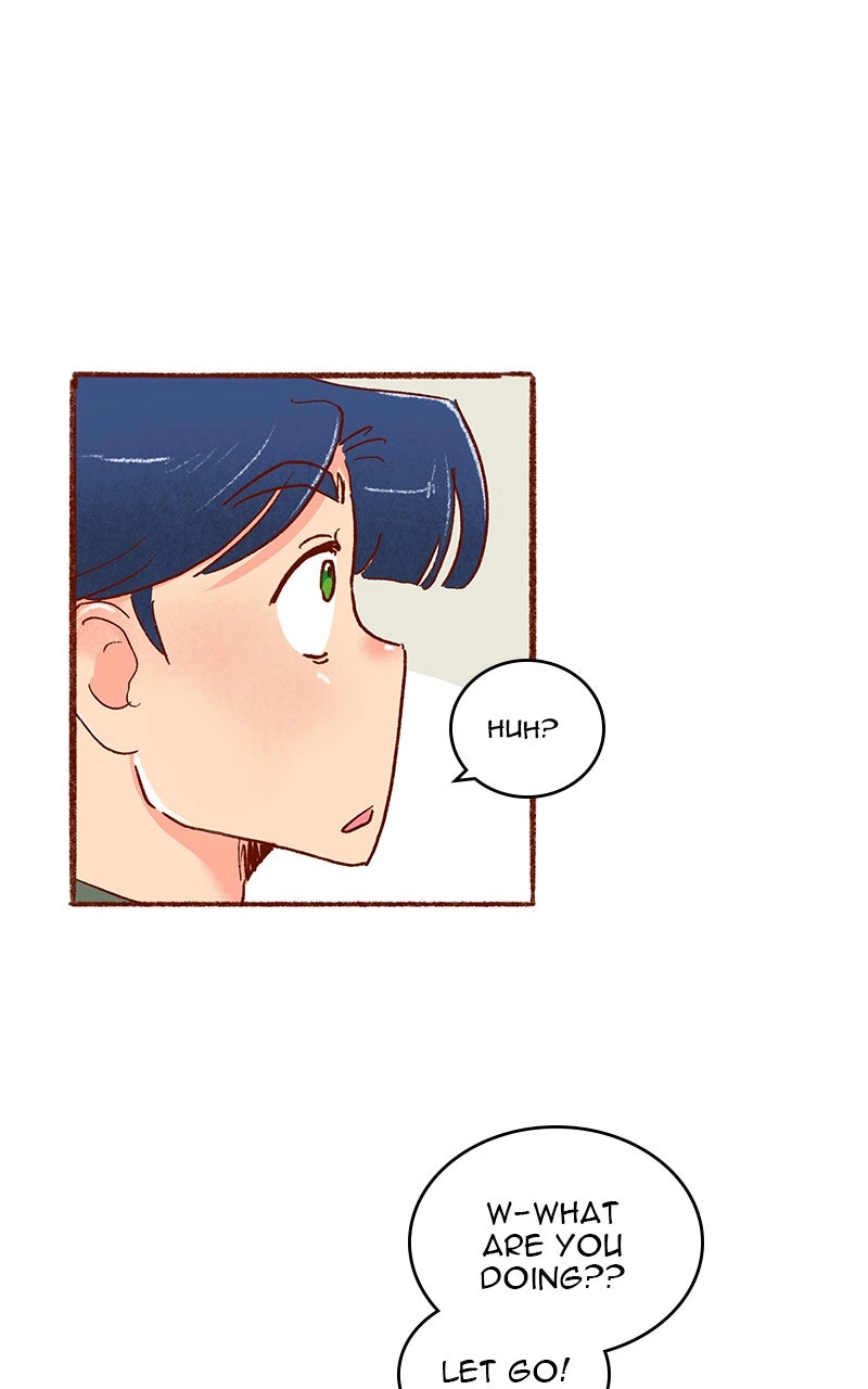 Read The Kiss Bet Manga Online