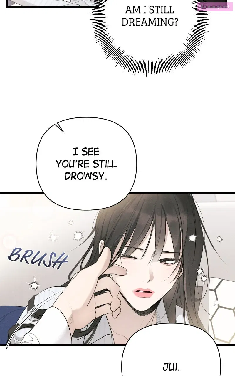 Read The Perfect Contract Manga Online