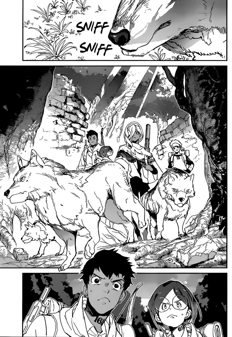 Read The Promised Neverland Manga Online