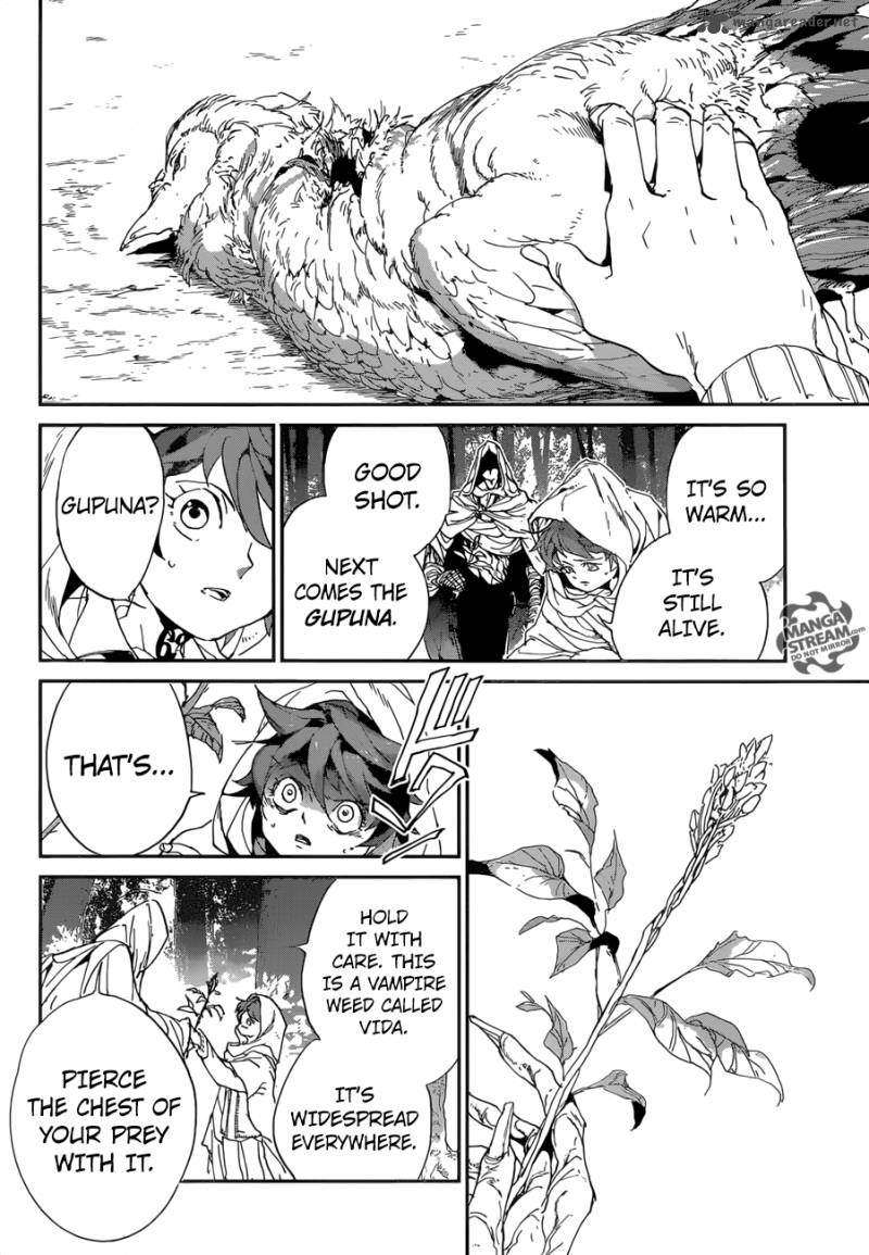 Read The Promised Neverland Manga Online