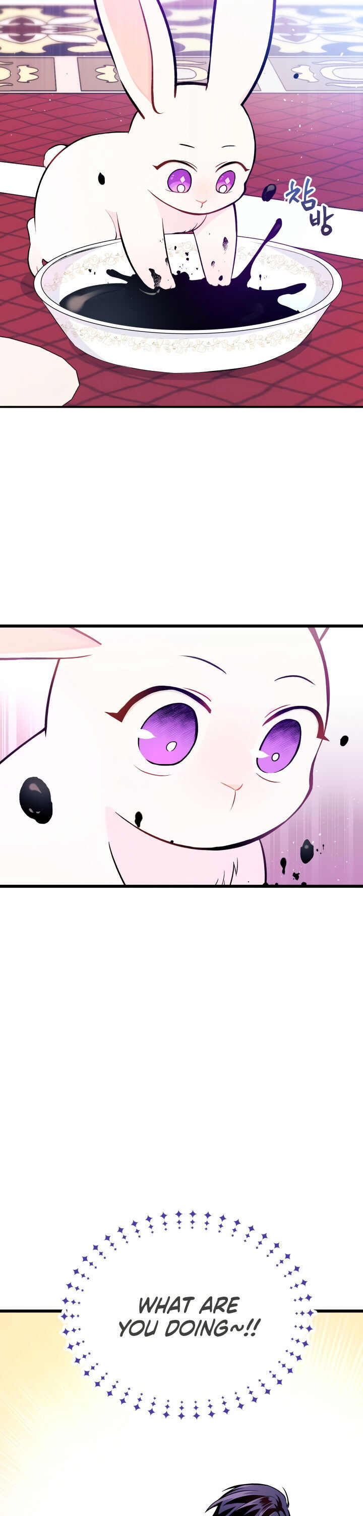 Read The Symbiotic Relationship Between the Rabbit and the Black Panther Manga Online