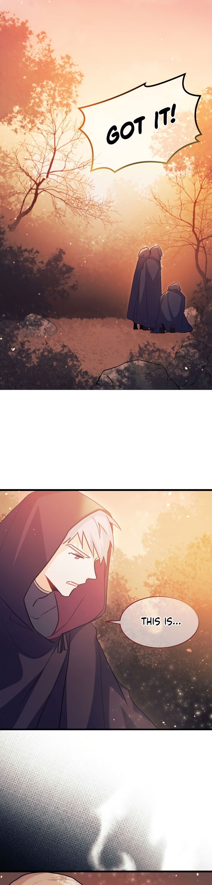 Read The Symbiotic Relationship Between the Rabbit and the Black Panther Manga Online