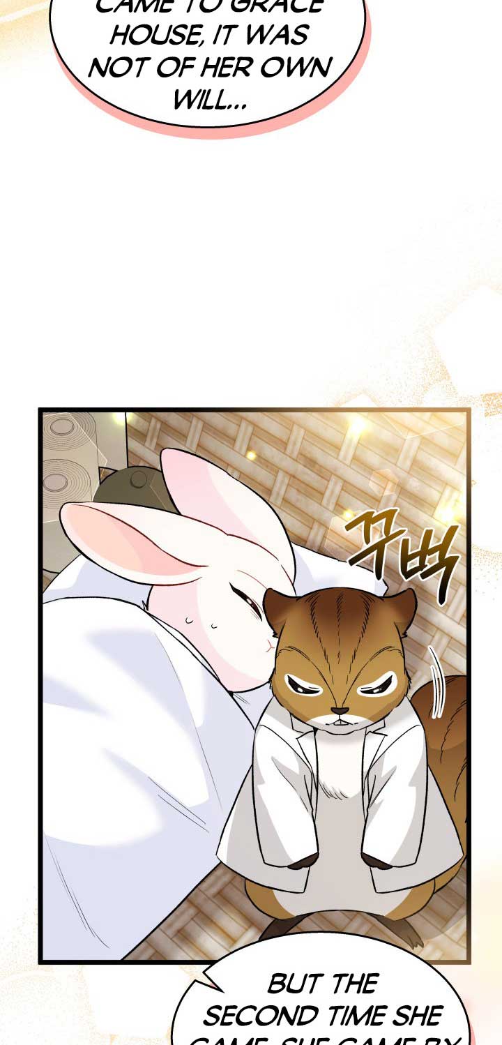 Read The Symbiotic Relationship Between the Rabbit and the Black Panther Manga Online