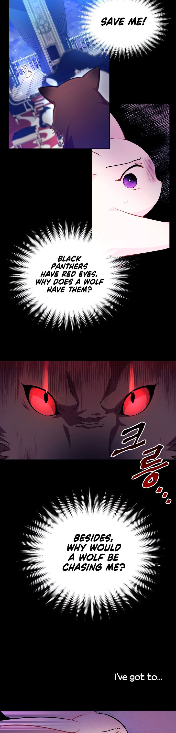 Read The Symbiotic Relationship Between the Rabbit and the Black Panther Manga Online