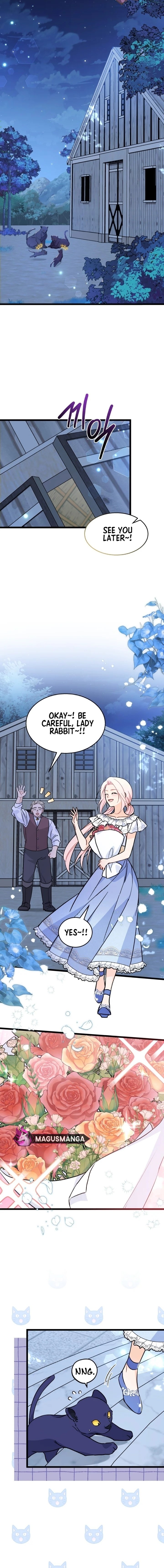 Read The Symbiotic Relationship Between the Rabbit and the Black Panther Manga Online
