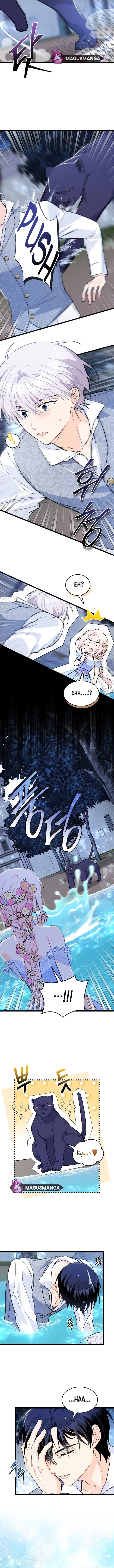 Read The Symbiotic Relationship Between the Rabbit and the Black Panther Manga Online