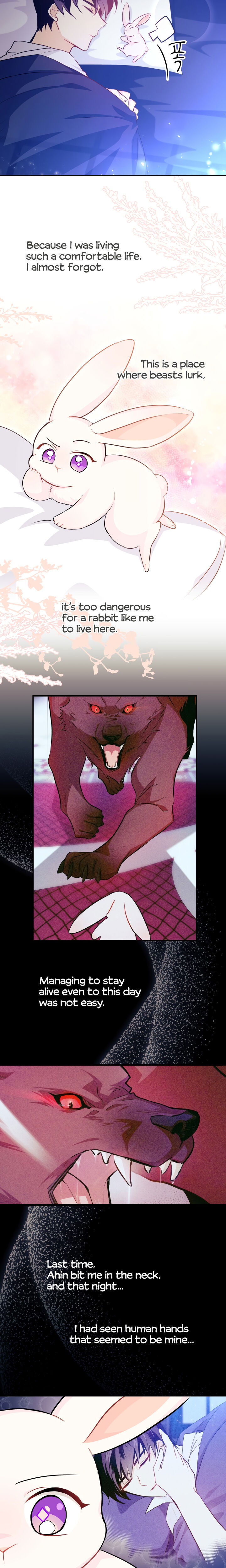 Read The Symbiotic Relationship Between the Rabbit and the Black Panther Manga Online