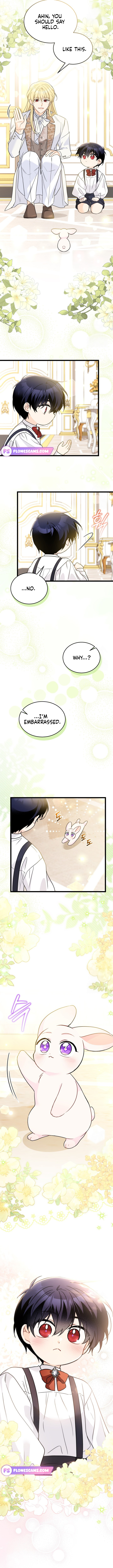 Read The Symbiotic Relationship Between the Rabbit and the Black Panther Manga Online