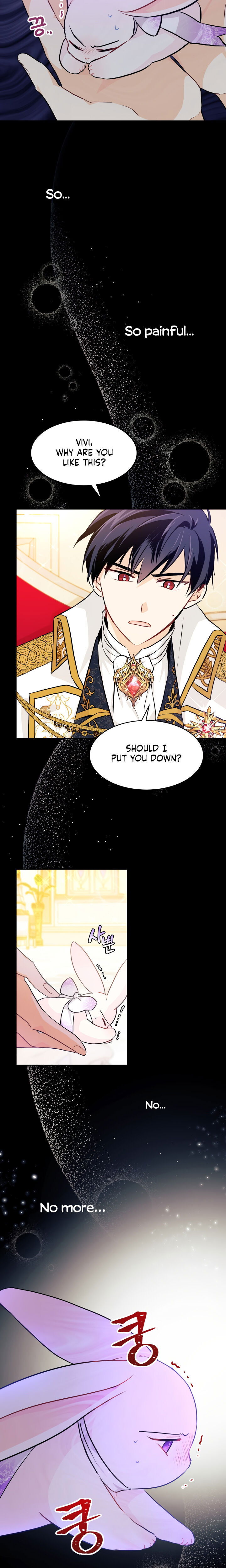 Read The Symbiotic Relationship Between the Rabbit and the Black Panther Manga Online