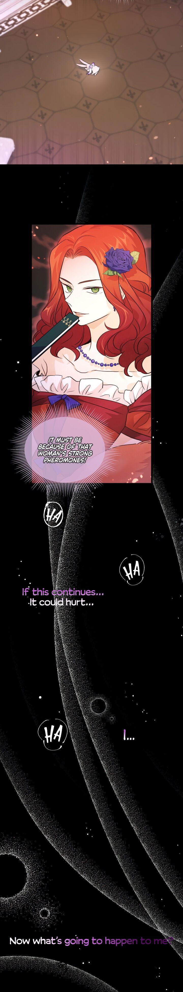 Read The Symbiotic Relationship Between the Rabbit and the Black Panther Manga Online