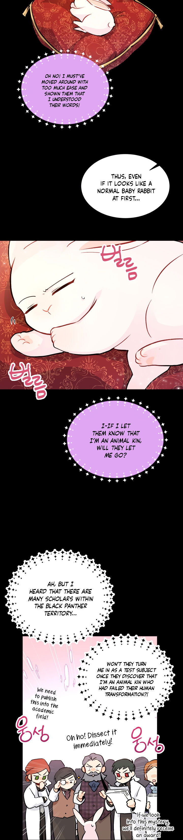 Read The Symbiotic Relationship Between the Rabbit and the Black Panther Manga Online