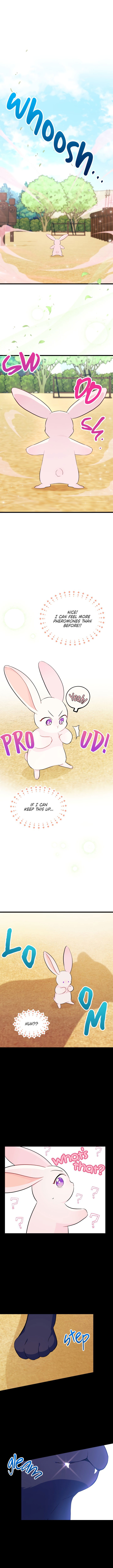 Read The Symbiotic Relationship Between the Rabbit and the Black Panther Manga Online