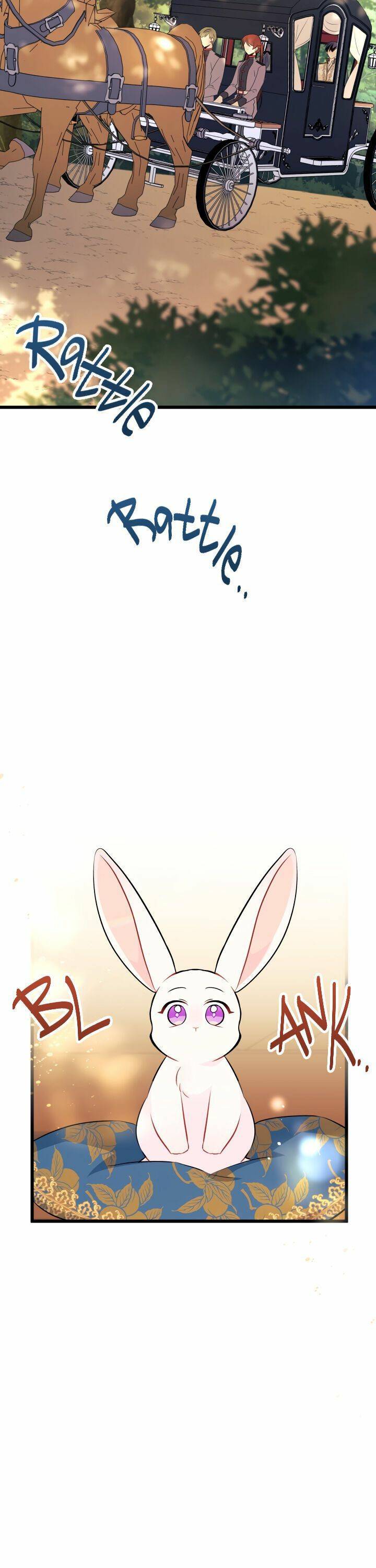 Read The Symbiotic Relationship Between the Rabbit and the Black Panther Manga Online