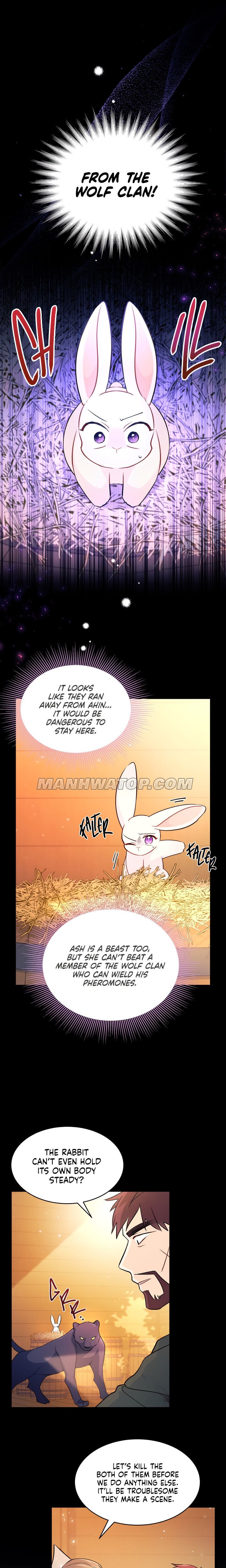 Read The Symbiotic Relationship Between the Rabbit and the Black Panther Manga Online