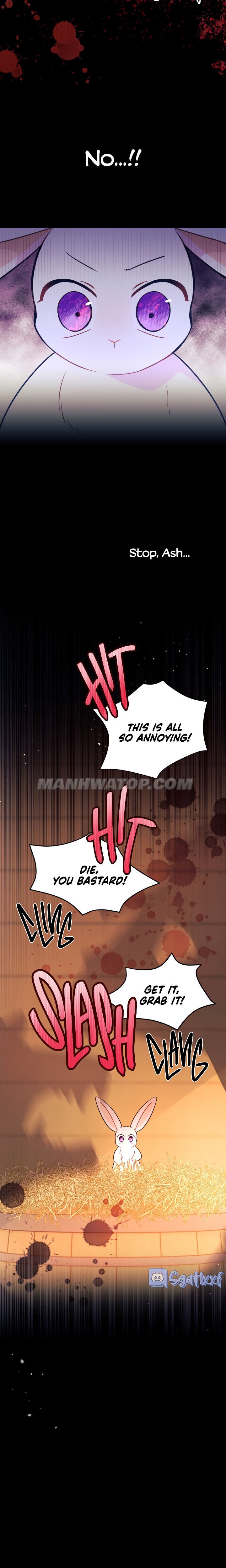 Read The Symbiotic Relationship Between the Rabbit and the Black Panther Manga Online