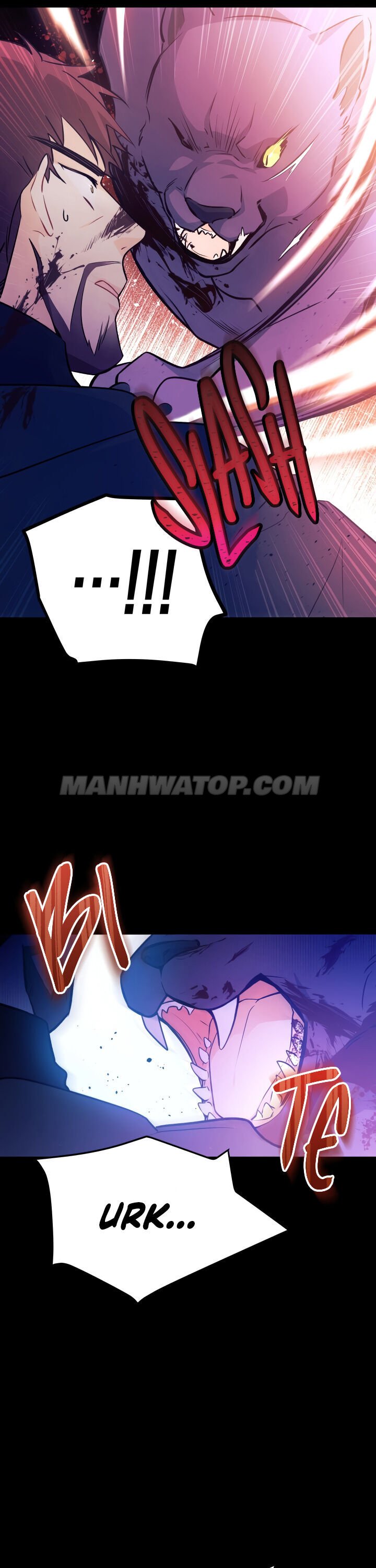 Read The Symbiotic Relationship Between the Rabbit and the Black Panther Manga Online