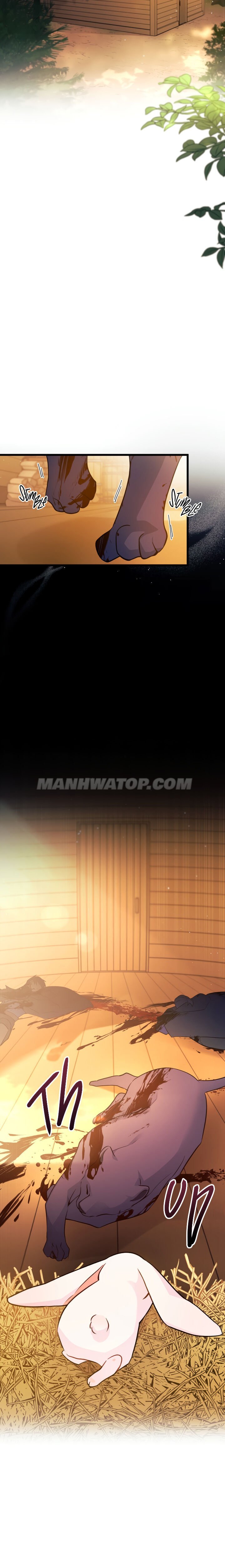 Read The Symbiotic Relationship Between the Rabbit and the Black Panther Manga Online