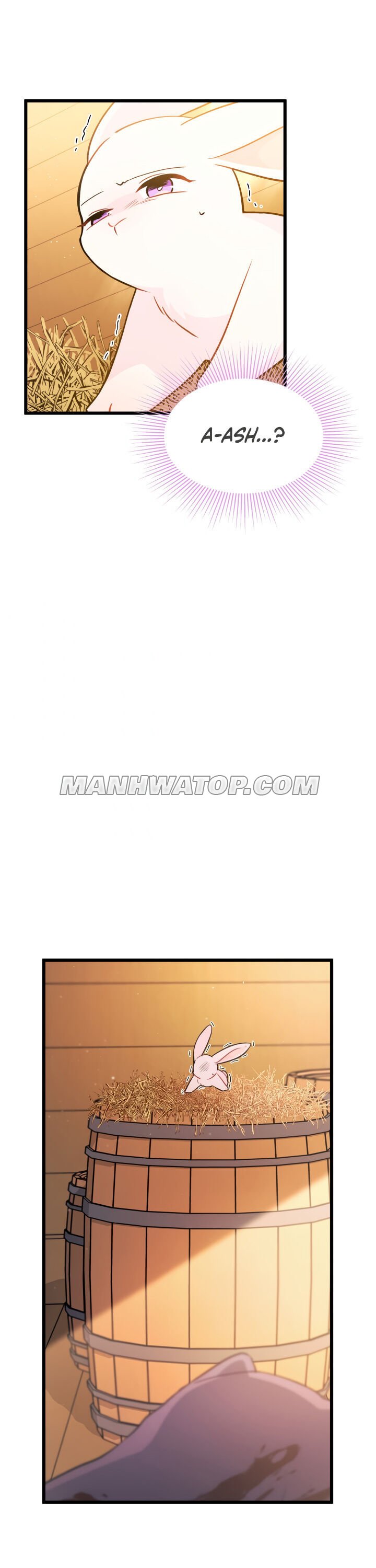 Read The Symbiotic Relationship Between the Rabbit and the Black Panther Manga Online