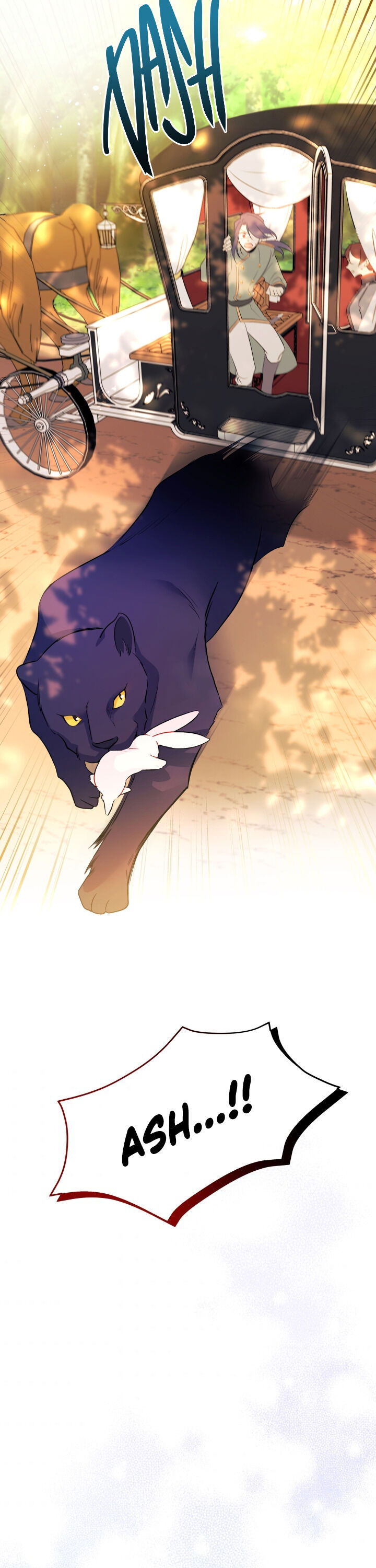Read The Symbiotic Relationship Between the Rabbit and the Black Panther Manga Online