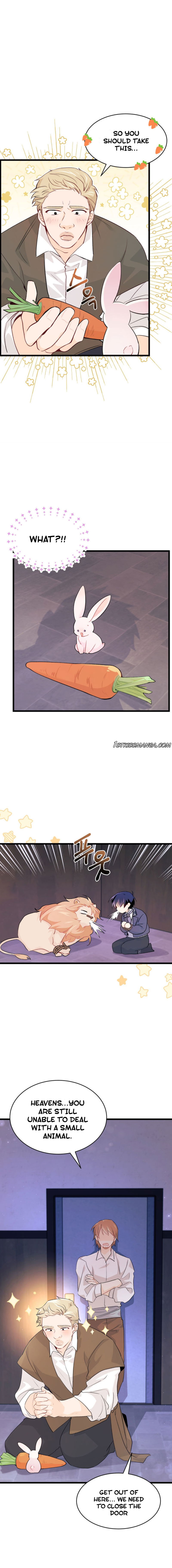 Read The Symbiotic Relationship Between the Rabbit and the Black Panther Manga Online