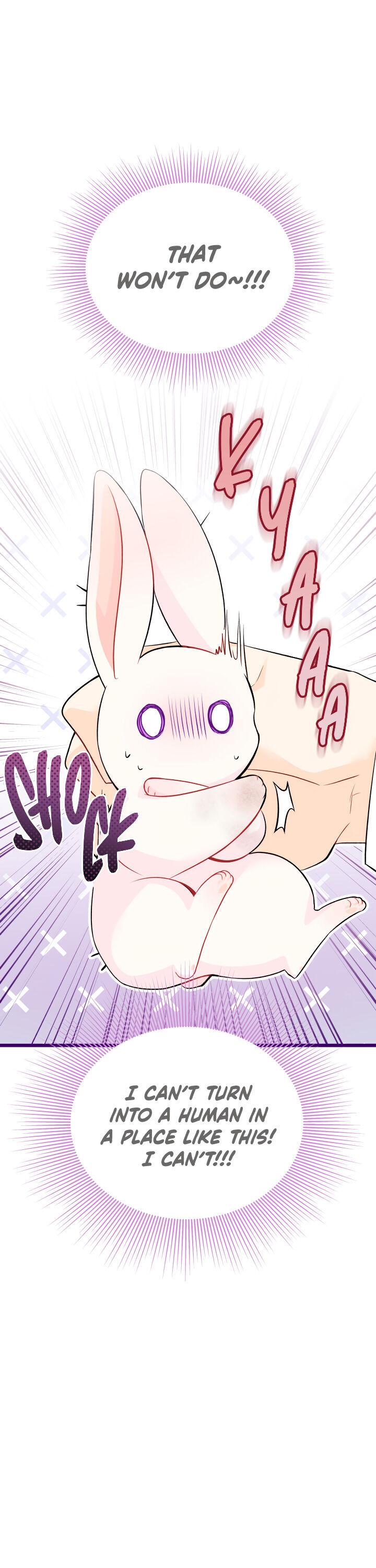 Read The Symbiotic Relationship Between the Rabbit and the Black Panther Manga Online