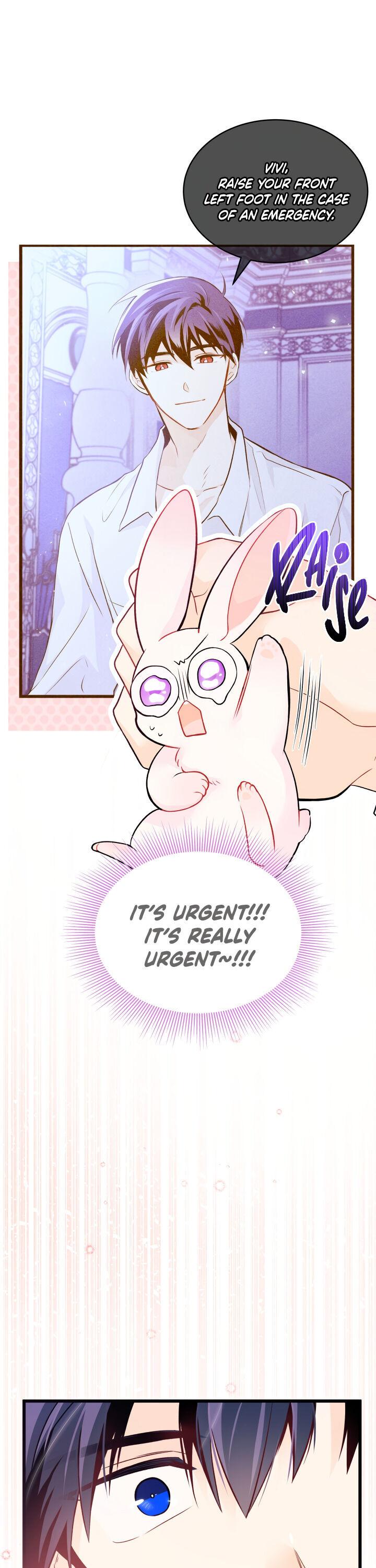 Read The Symbiotic Relationship Between the Rabbit and the Black Panther Manga Online