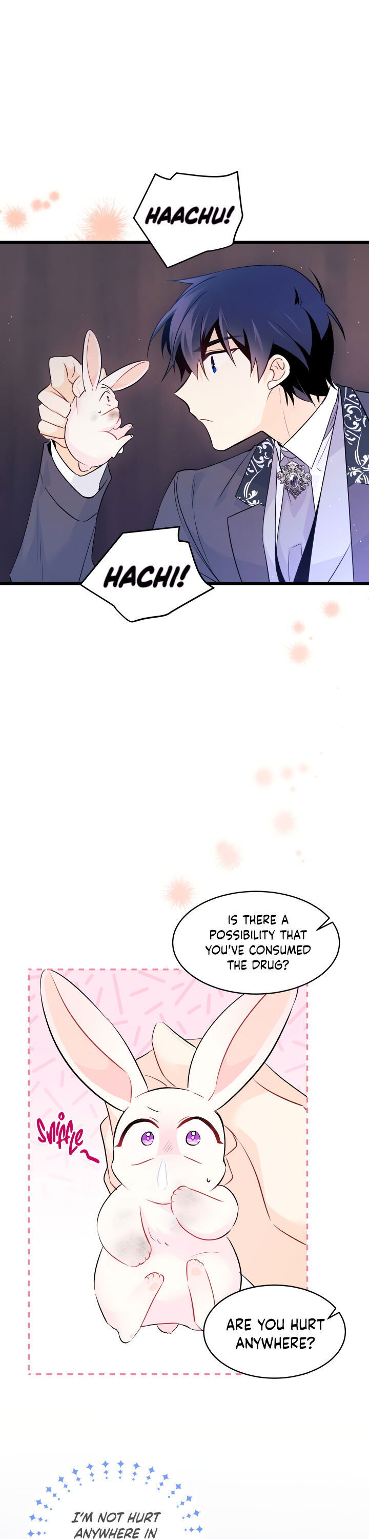 Read The Symbiotic Relationship Between the Rabbit and the Black Panther Manga Online