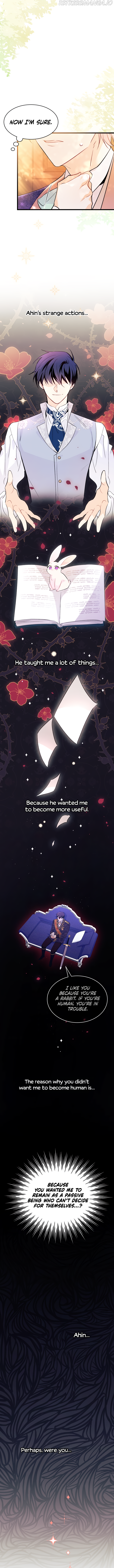 Read The Symbiotic Relationship Between the Rabbit and the Black Panther Manga Online