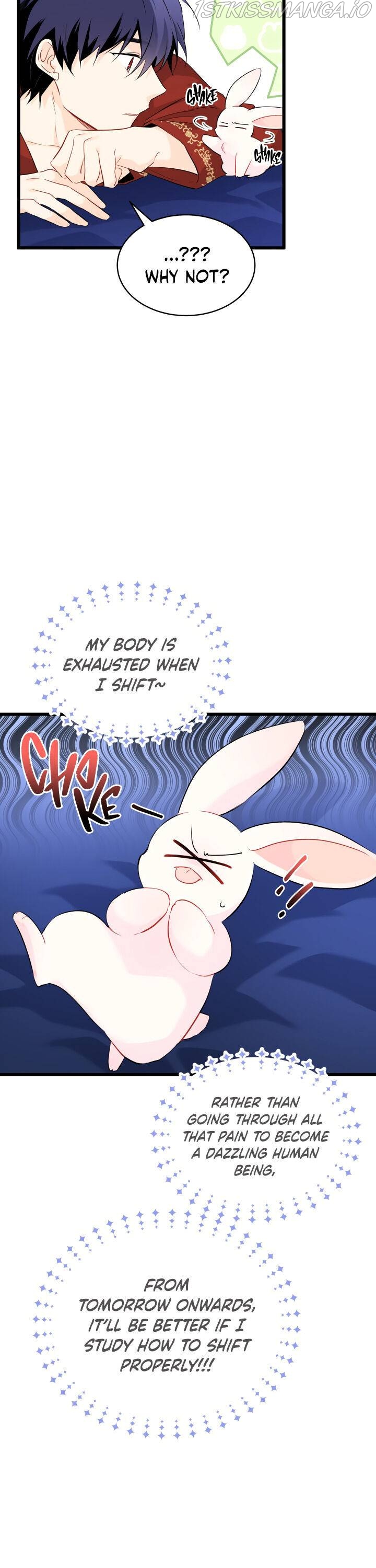 Read The Symbiotic Relationship Between the Rabbit and the Black Panther Manga Online