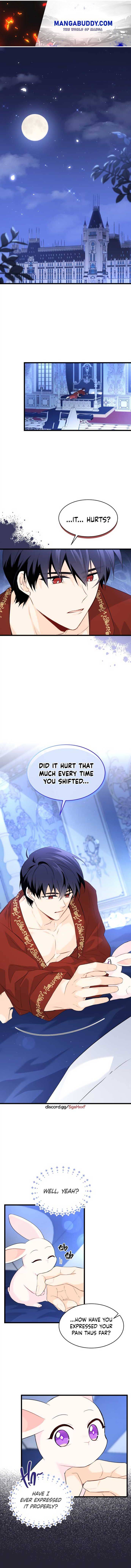 Read The Symbiotic Relationship Between the Rabbit and the Black Panther Manga Online