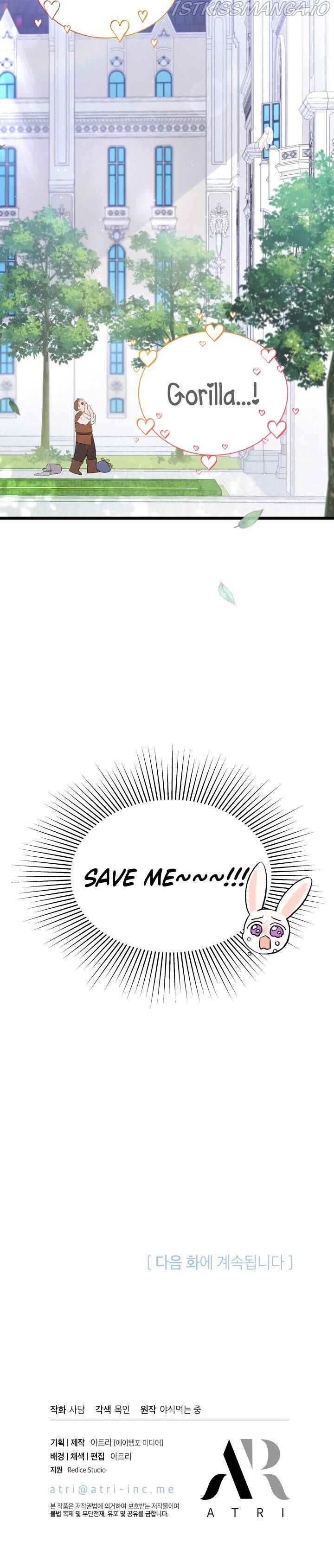 Read The Symbiotic Relationship Between the Rabbit and the Black Panther Manga Online