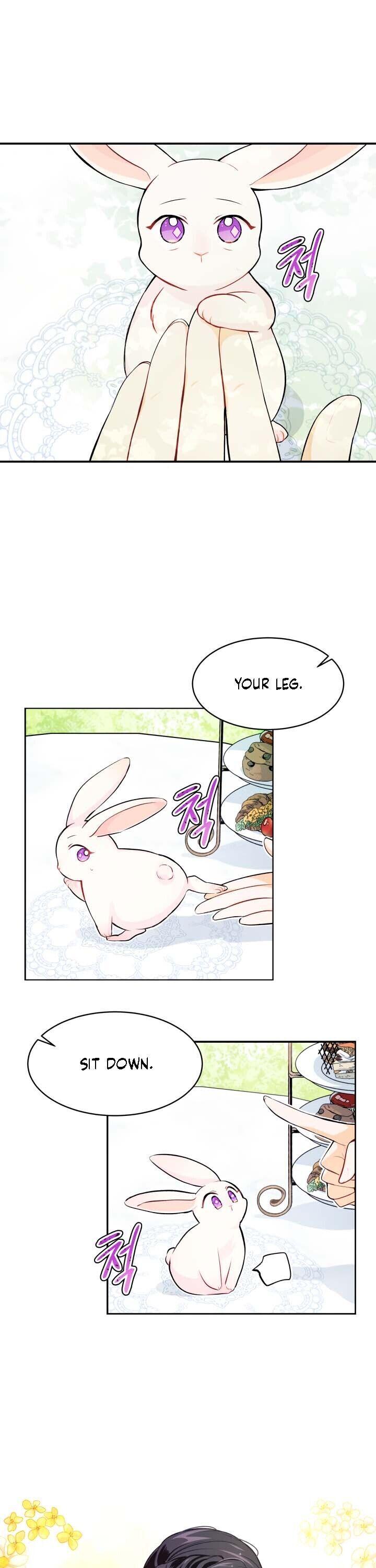 Read The Symbiotic Relationship Between the Rabbit and the Black Panther Manga Online