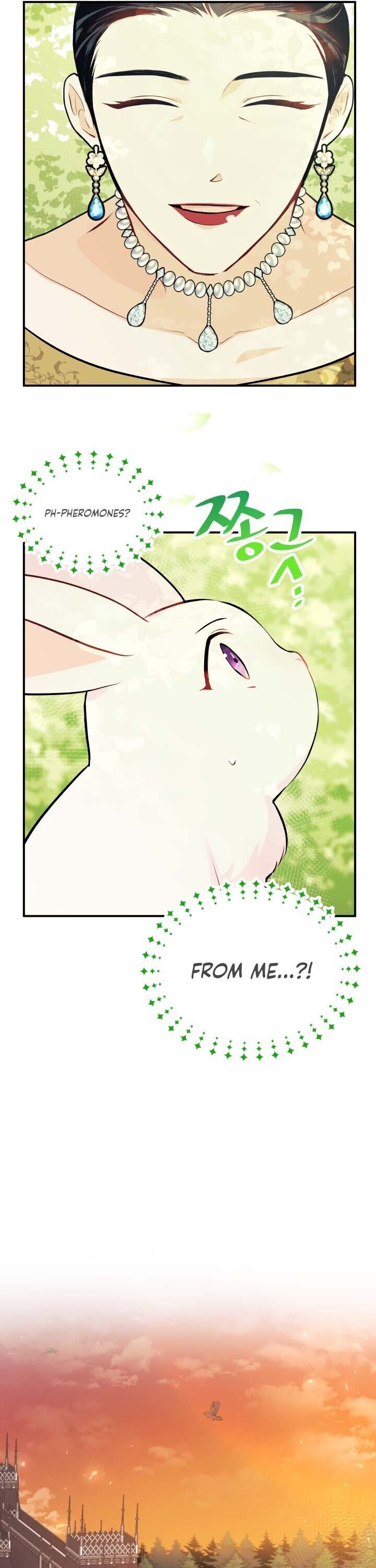 Read The Symbiotic Relationship Between the Rabbit and the Black Panther Manga Online
