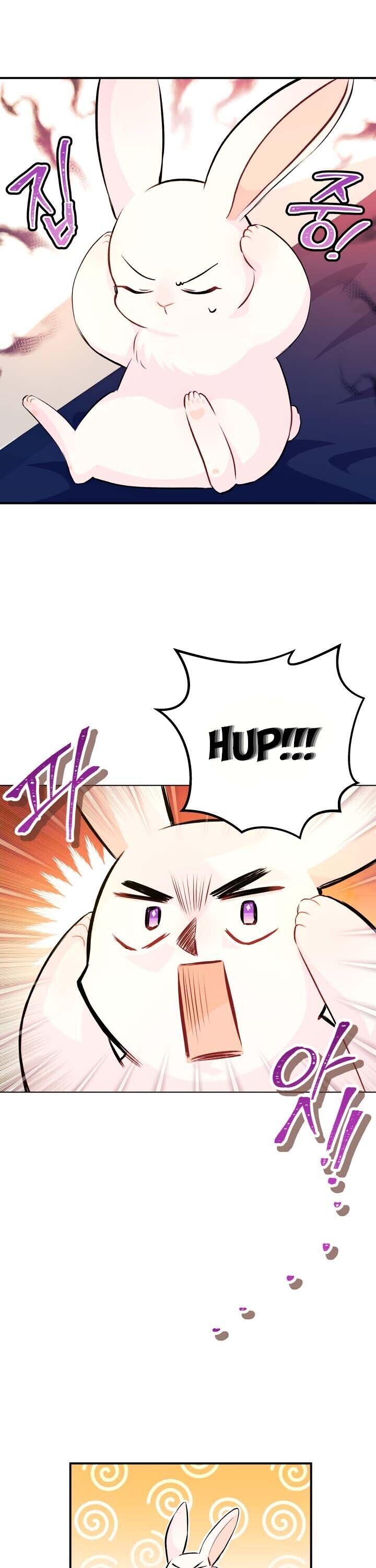 Read The Symbiotic Relationship Between the Rabbit and the Black Panther Manga Online